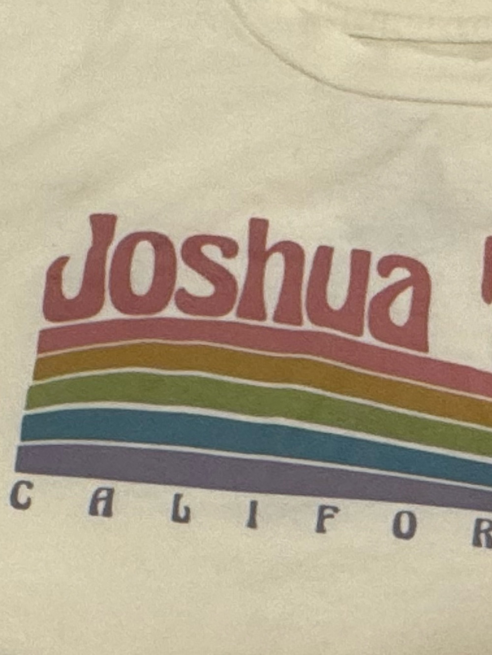 Joshua Tree tee - Picture 6 of 7